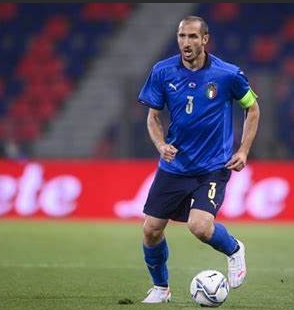 微信截图_20241203151337.png 微信截图_20241203151337.png