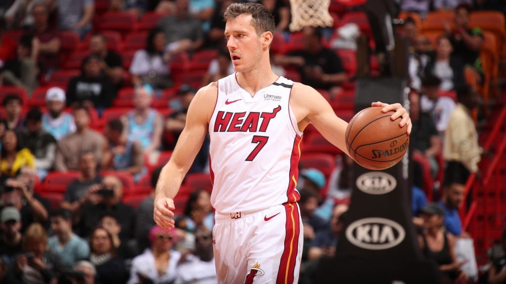 戈兰·德拉季奇：热火控场大师，指挥若定稳军心