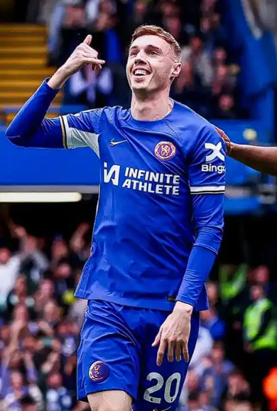 帕尔默 (2).png 帕尔默 (2).png