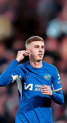 帕尔默 (3).png 帕尔默 (3).png