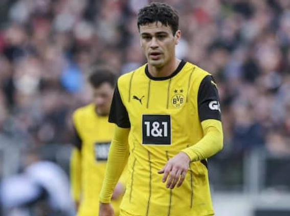 乔瓦尼雷纳3.png 乔瓦尼雷纳3.png