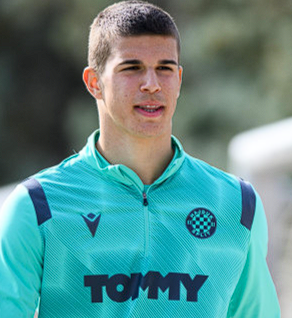 卢卡 - 武什科维奇 (3).png