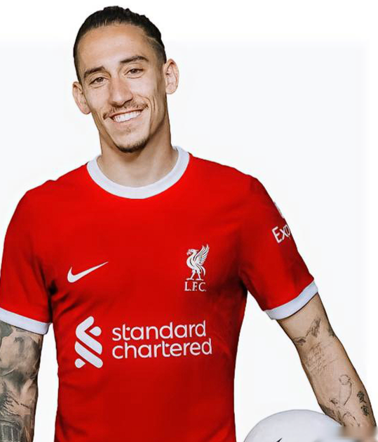 齐米卡斯 (2).png