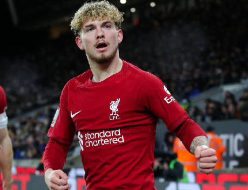 埃利奥特 (3).png