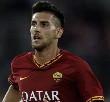 佩莱格里尼 (2).png