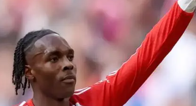 特尔 (2).png 特尔 (2).png