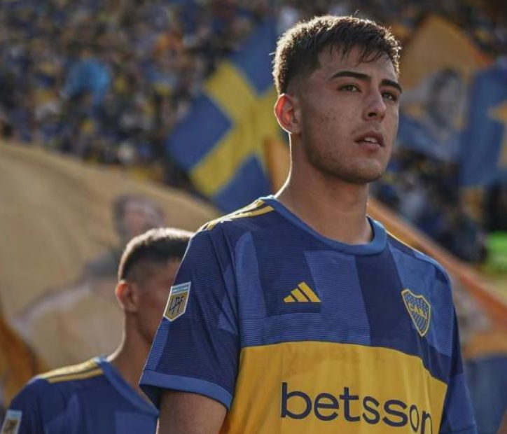 安塞尔米诺 (3).png