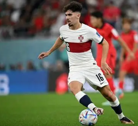 维蒂尼亚 (3).png