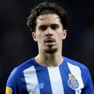 维蒂尼亚 (2).png