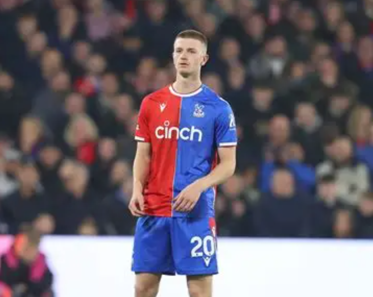 沃顿 (2).png 沃顿 (2).png