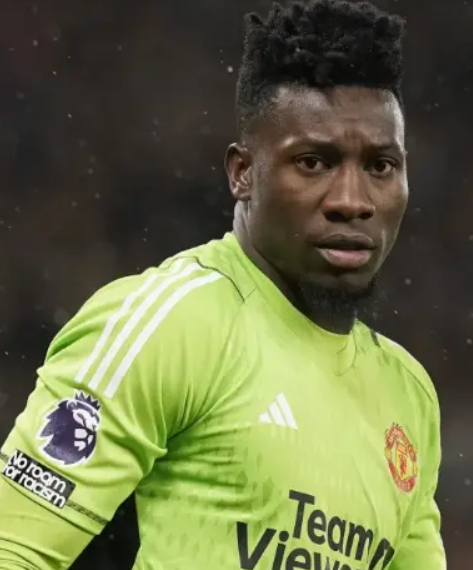 奥纳纳 (2).png 奥纳纳 (2).png