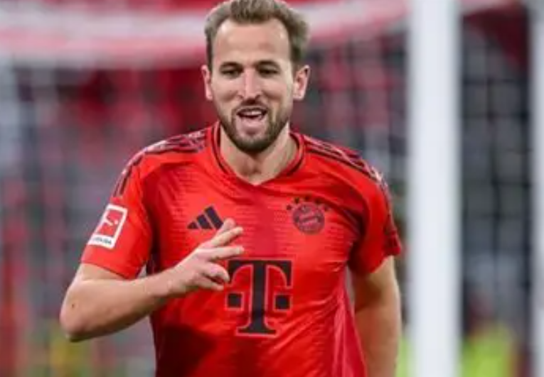 凯恩3.png 凯恩3.png