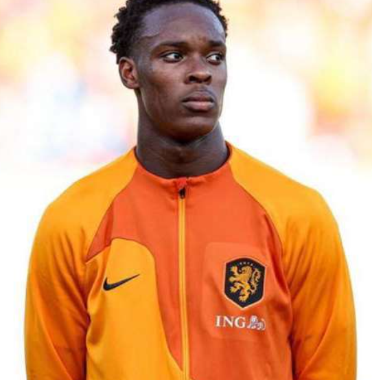 埃梅加 (3).png 埃梅加 (3).png