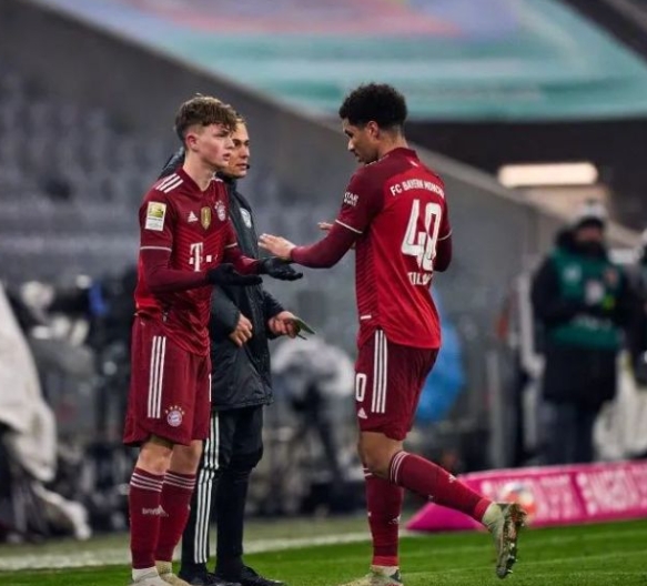 万纳尔抉择:德国还是奥地利?