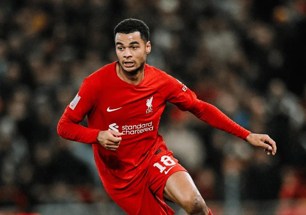 荷兰挺进四强：加克波赞球队韧性，笑谈“七位门将”奇迹