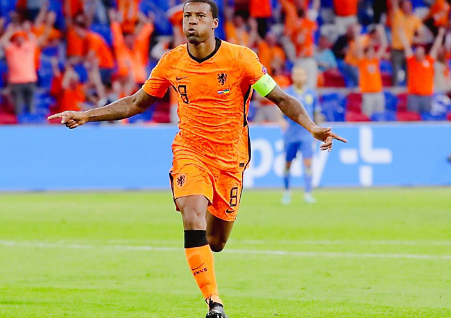荷兰队在欧洲杯的最好成绩是多少？