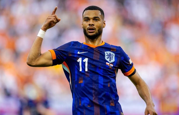 加克波：荷兰队欧洲杯的闪耀之星