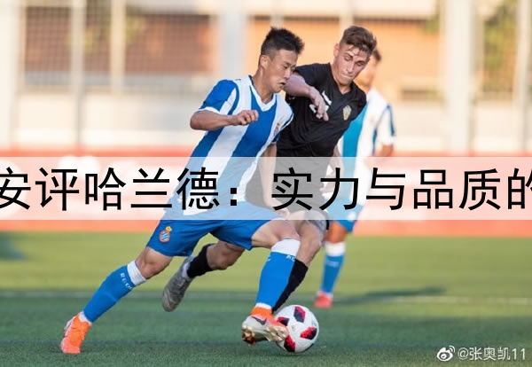 京多安评哈兰德：实力与品质的典范