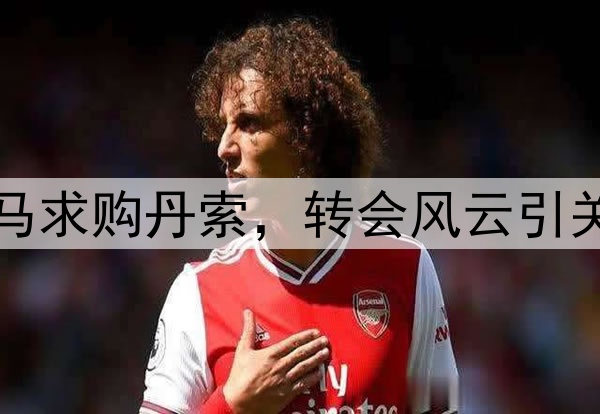 罗马求购丹索，转会风云引关注