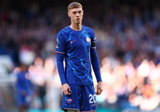 哈塞尔巴因克盛赞帕尔默，天赋少年闪耀足坛