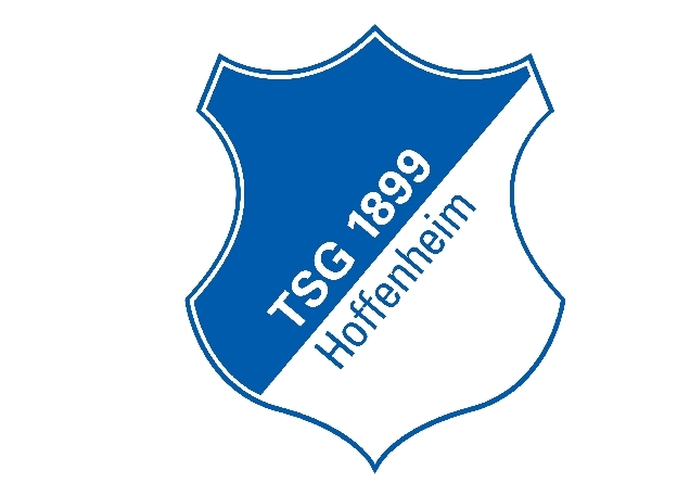 霍芬海姆换帅风云：伊尔泽时代将至