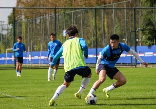 申花亚冠出征：伤病阴影下的韩国挑战