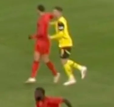 萨内肘击疑云：拜仁球星的命运悬于调查结果