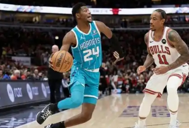 黄蜂振翅：NBA赛场上的青春风暴