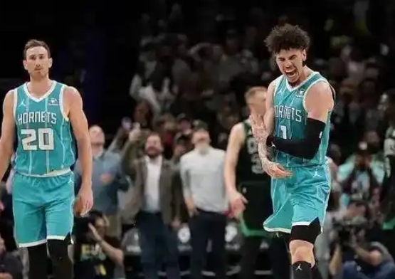 黄蜂振翅：NBA赛场上的奋斗轨迹