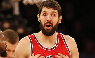 米罗蒂奇：从NBA到欧洲的篮球哲学转型与生涯启示录