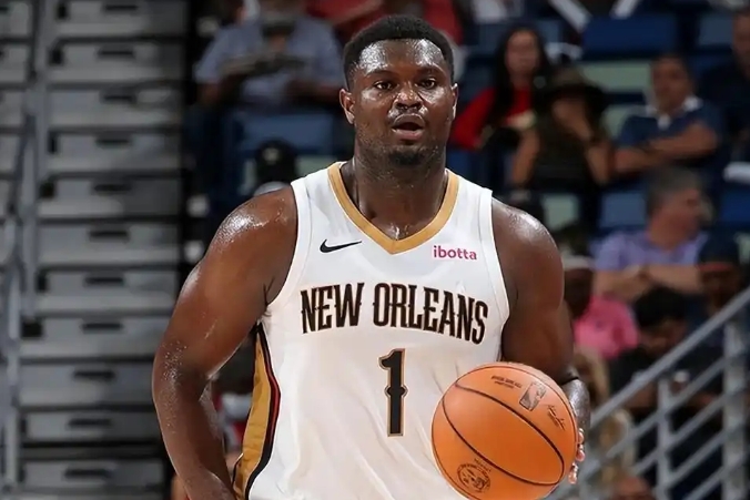 鹈鹕翱翔：逆境中的坚韧与辉煌