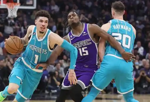 黄蜂振翅：逆境中的挣扎与希望之光