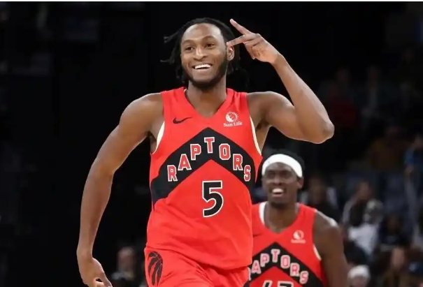 猛龙破浪：赛季征途中的坚韧与辉煌