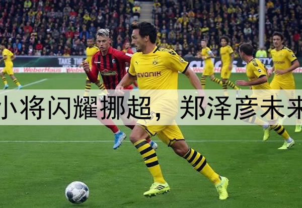 华裔小将闪耀挪超，郑泽彦未来可期