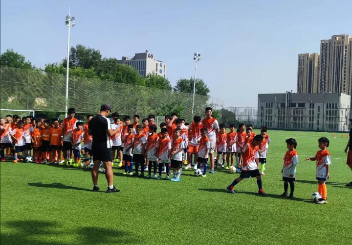 青岛海牛：黄海之滨的“老炮儿”逆袭征途