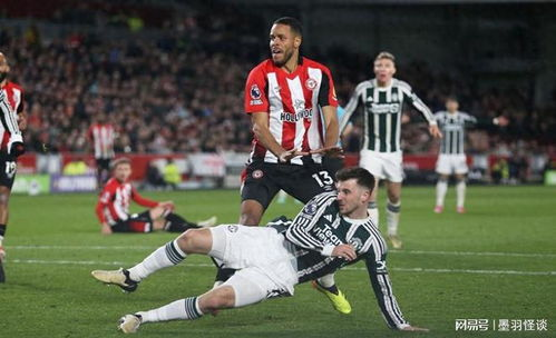 2025赛季英超:布莱顿对阵布伦特福德——海鸥与蜜蜂的攻防博弈与欧战冲刺之战