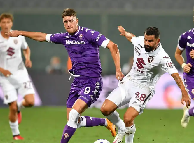 紫百合绽放：佛罗伦萨的意甲沉浮与新生