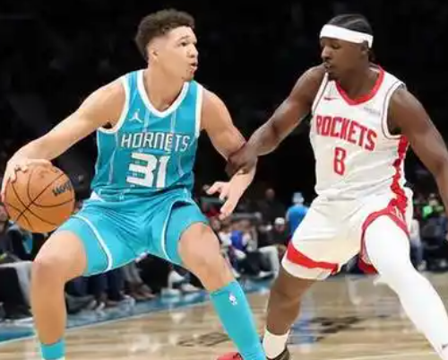 黄蜂：在逆境中寻光的青春风暴