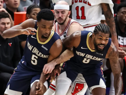 鹈鹕：逆境中挣扎的“折翼之鸟”