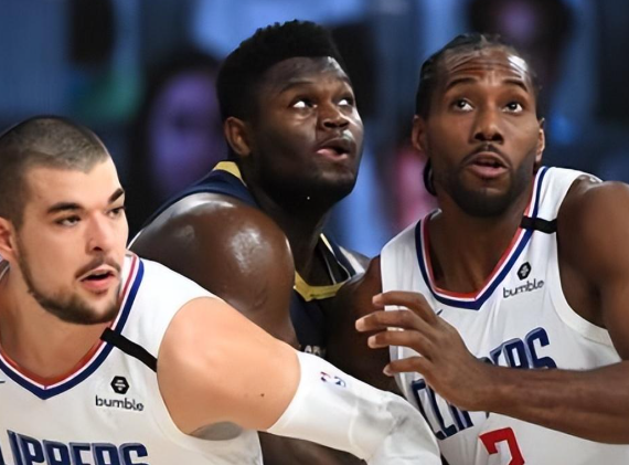 鹈鹕：在挣扎中探寻破局曙光