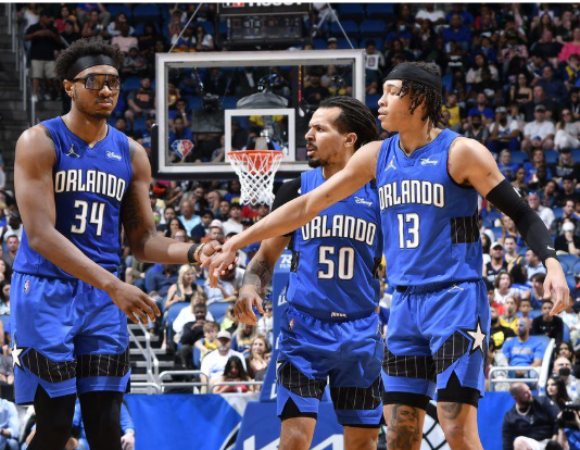 魔术：逆境中绽放的坚韧之花