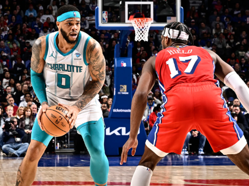 黄蜂振翅：在逆境中寻找破局之光