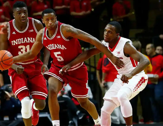 公牛：在起伏中探寻崛起之路