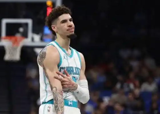 黄蜂：逆袭曙光中的挣扎与奋进