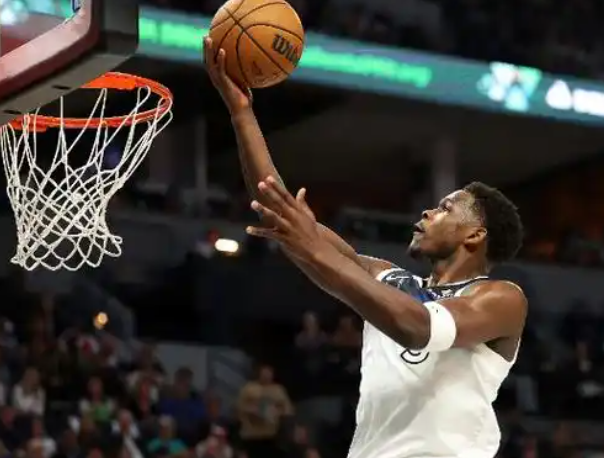 森林狼：逆境中崛起的西北狼