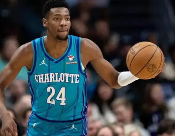 黄蜂：逆境中寻光的奋进之旅