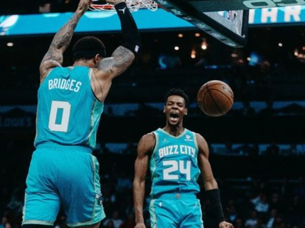 黄蜂：在逆境中寻光，于低谷中蓄力