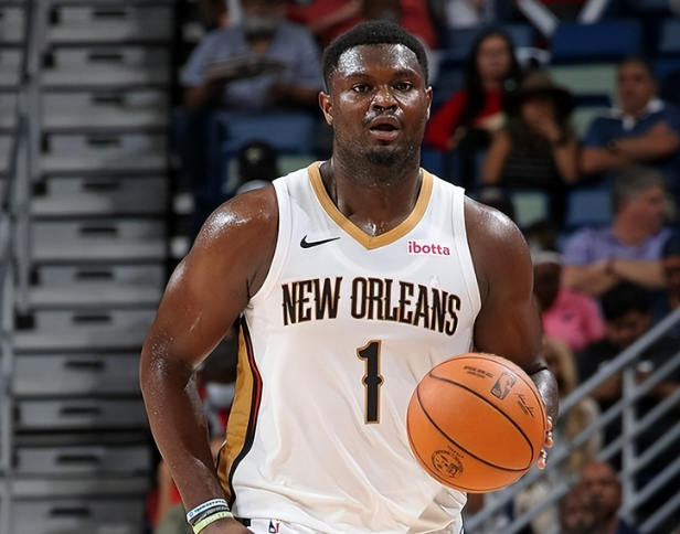 鹈鹕：逆境中寻光，低谷里奋起