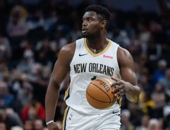 鹈鹕：逆境中寻光的破局者