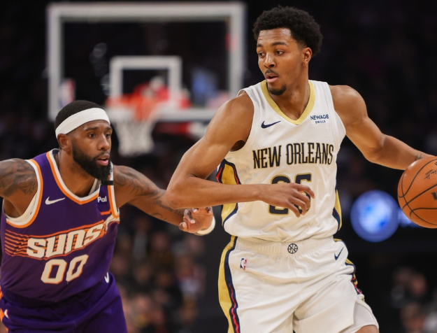 鹈鹕：逆境中寻光的挣扎之旅